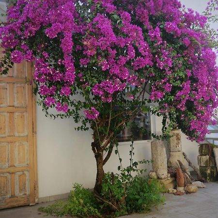 Casa De La Fra Daire Jerez de la Frontera Dış mekan fotoğraf