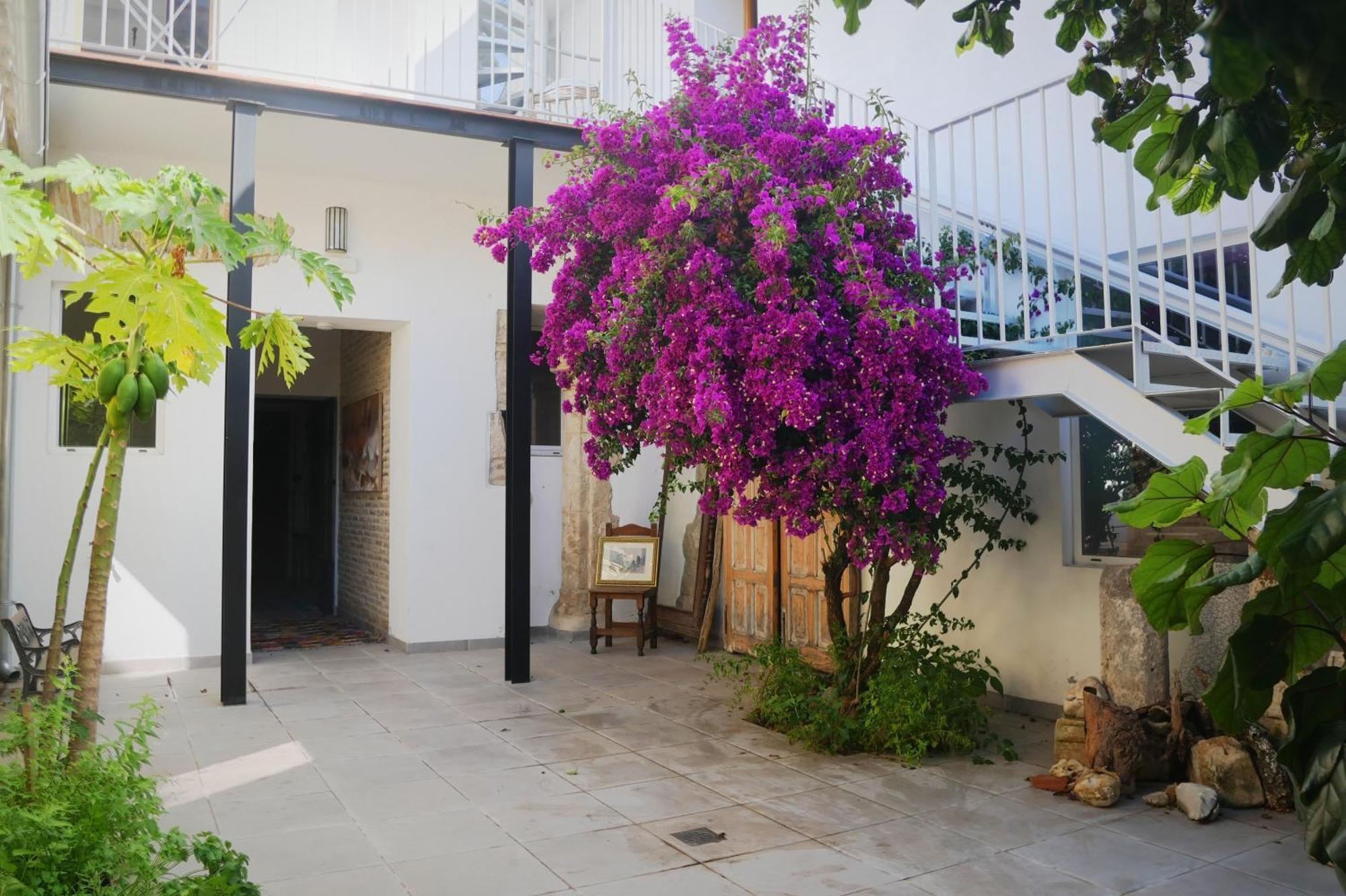 Casa De La Fra Daire Jerez de la Frontera Dış mekan fotoğraf